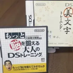 もっと脳を鍛える大人のDSトレーニング DS美文字トレーニング