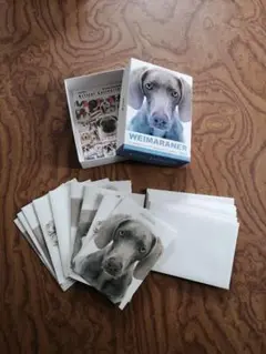 Item thumbnail for item 1b08d115-989b-48e1-b8dc-17bd28567b68