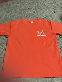 Item thumbnail for item 213de6c2-ed91-462b-a50f-7d6b4cd79545