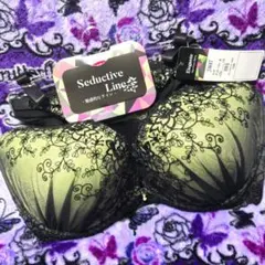 セットアップ✦H85 セダクティブライン ブラジャー