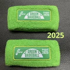 NPB　2025 プロ野球　リストバンド 2個