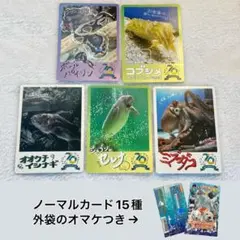 【オマケ付き】鳥羽水族館70周年コレクションカード（ノーマル5種各1枚）