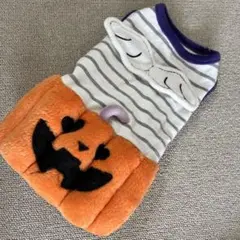 Item thumbnail for item 89e348a2-bce1-4ce9-813b-bd9221b86ad0