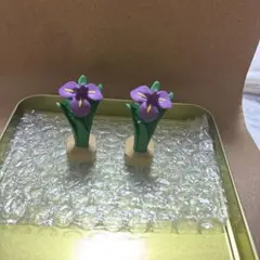菖蒲　コンコンブル