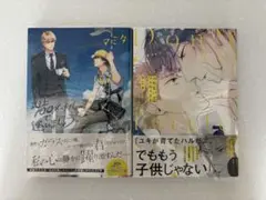 マミタ 地上100メートルで、逢いましょう ふれないでリトルスター