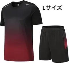 セットアップ メンズ 吸汗速乾 接触冷感 半袖 上下2点セット 通気防臭 夏服