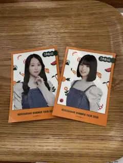 乃木坂46 購入特典 フォトカード 増田三莉音 矢久保美緒　真夏の全国ツアー