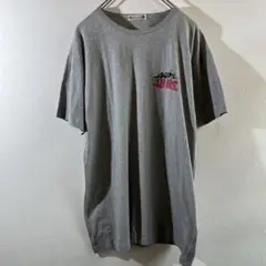 T-294 90s ヴィンテージ シングルステッチ プリント Tシャツ L相当
