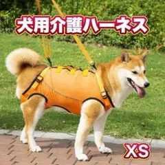 Item thumbnail for item 3793b8da-3c70-459f-8d34-f4dc0fe688f6