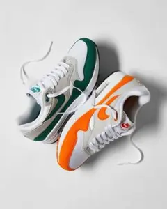 Nike Air Max 1 anniversary ever green