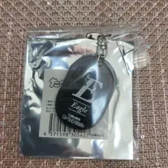 たべっ子どうぶつ　イニシャルキーホルダー eagle　イーグル　わし　鷲