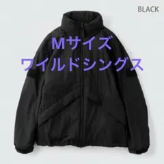 Item thumbnail for item 3e31798a-f777-4e56-9335-8498e5b65581