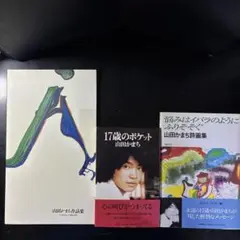山田かまち ３冊セット＋おまけ