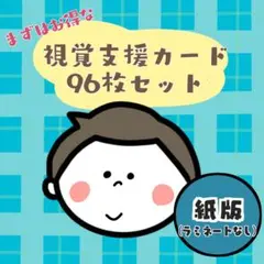 【お得な紙タイプ】視覚支援絵カード☆96枚