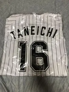 千葉ロッテ　種市選手 ユニフォーム 16
