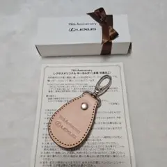 Item thumbnail for item 70fd027d-18f8-43cc-9e68-dcd7bb031537