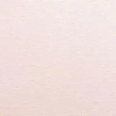 専用ページ