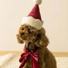 Item thumbnail for item 52e8315b-d68a-4dfa-acf6-42f891246444