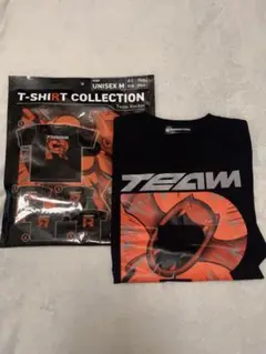 TEAM Rocket Tシャツコレクション UNISEX Mサイズ　ゴルバット