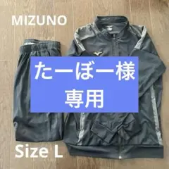 MIZUNO トレーニングウェア　L