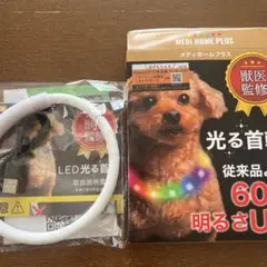 Item thumbnail for item 2d8b42a2-7d8f-4bcf-ba06-50c9f5996ea1