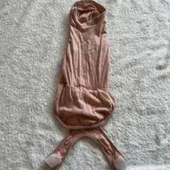 Item thumbnail for item 99862559-6db6-48a8-a857-e5d9ec5be875