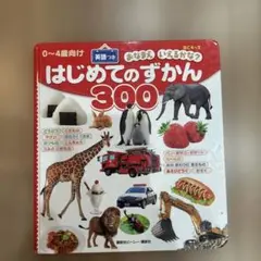 はじめてのずかん300