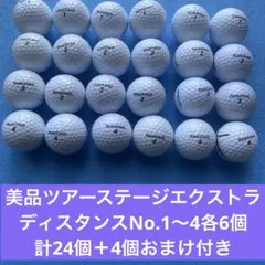 美品ツアーステージエクストラディスタンスNo.1〜4各6個＋4個おまけ付き