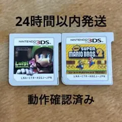 3DS New スーパーマリオブラザーズ2 ルイージマンション2