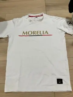 Item thumbnail for item cd312f48-c3ac-4a44-8afc-f7f3e371e752