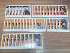 ハイキュー ぱしゃこれ ゴミ捨て場の決戦 田中龍之介 41枚