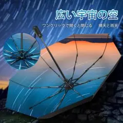 Item thumbnail for item 87b4ce58-06a9-4077-9bea-1eb6d858f3b4