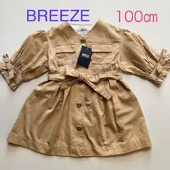 Item thumbnail for item 9cdcb178-ce2e-46c4-a398-9607db9e8936