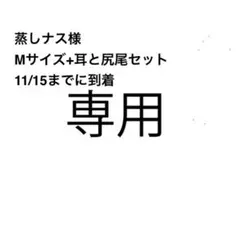 Item thumbnail for item 97fc7975-43cf-4286-a93c-3e9cd332e208