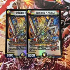覚醒連結　XXDDZ ２枚
