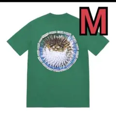 Supreme Blowfish Tee Light Pine Mサイズ