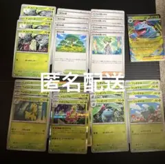 メガニウム進化ライン　活力の森　ミツル等　計29枚セット　ポケモンカード