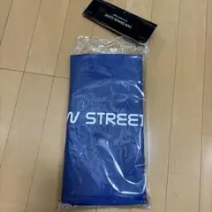 SKATE BOARD BAG 青