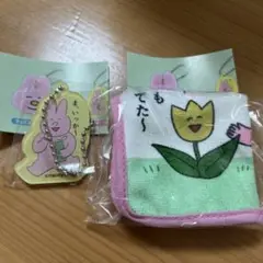なおにゃんキーホルダーとタオルセット
