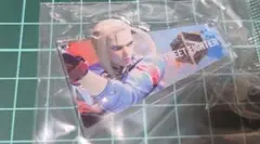 新品未開封 ストリートファイター6 キャミィ アクリルキーホルダー