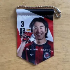 コンサドーレ札幌　パク ミンギュ　ミニペナント2025