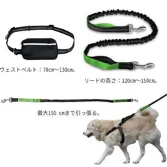 新品未使用! 犬用 ハンズフリー 伸縮リード
