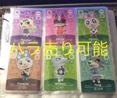 2025年最新】amiiboカード ジュン 海外の人気アイテム - メルカリ
