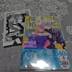 拝啓見知らぬ旦那様、離婚していただきます IV