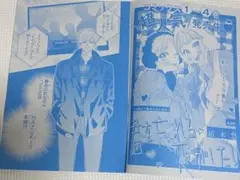 君を忘れる恋がしたい　② 19話　切り抜き