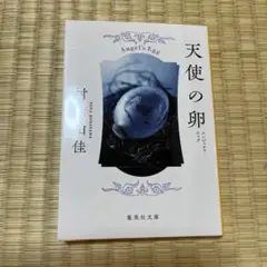 天使の卵 村山由佳