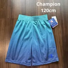 Item thumbnail for item 0f6310df-028f-4808-94d0-1e0fa156160e