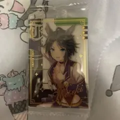 ウマ娘プリティーダービー ウエハース カード フジキセキ