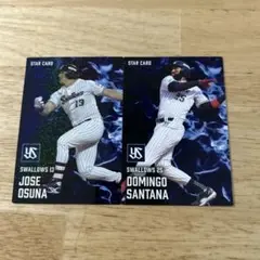 カルビー SWALLOWS STAR CARD セット