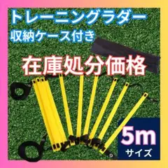 ☆トレーニング ラダー 5m 10枚 サッカー 陸上 フィットネス 球技の練習